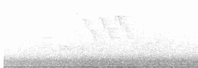 Белогорлая зонотрихия - ML591610951