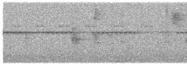 Ockerstirn-Blattspäher - ML591624201
