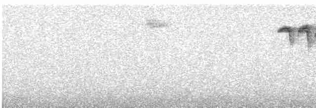 Синиця чубата - ML591624821