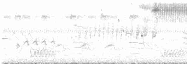 Кузнечиковая овсянка-барсучок - ML591635061