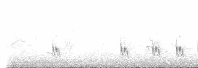 Little Rush Warbler - ML591639221