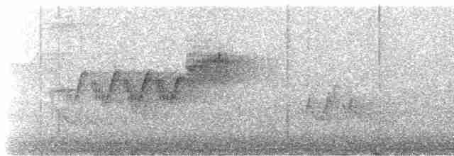 Cerulean Warbler - ML591648961