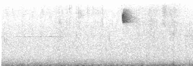 Prairie Warbler - ML591661171