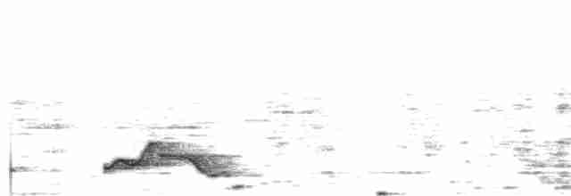 Pauraquenachtschwalbe - ML591667871
