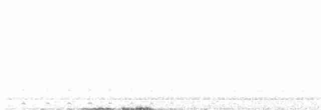 Texasnachtschwalbe - ML591669481