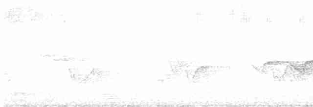 Hooded Warbler - ML591672831