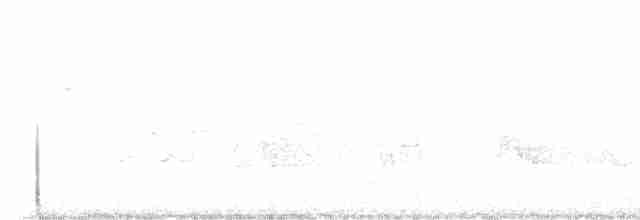 Hooded Warbler - ML591673401