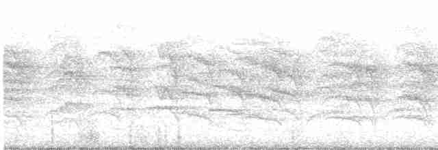 Пересмішник сірий - ML591681501