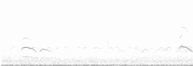 Приморская овсянка-барсучок - ML591683931