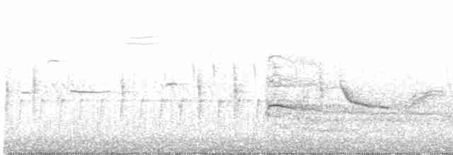 Канюк неоарктичний (підвид borealis) - ML591690731