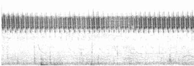 矛斑蝗鶯 - ML591697551