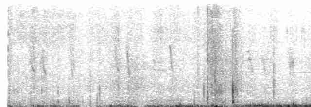 Сова плямиста - ML591705111