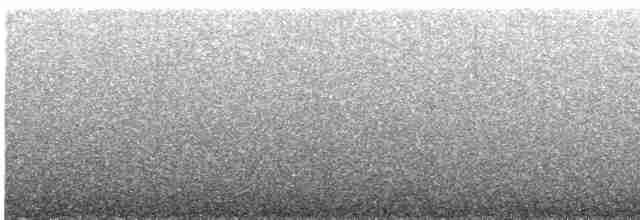 Gri Sırtlı Bülbül Ardıcı - ML591748011
