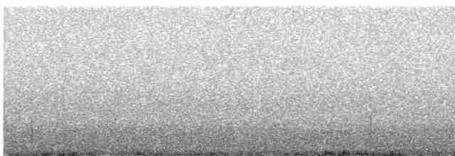 Дрізд-короткодзьоб сірий - ML591750921