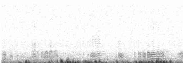 Казарка чорна (підвид nigricans) - ML591756851