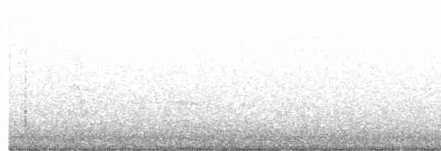 Тауї плямистий - ML591756971