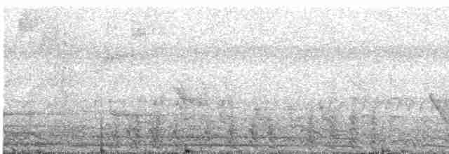 Краснохвостая чачалака - ML591764121