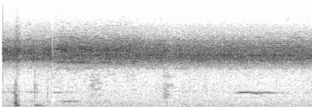 Tinamou de Bonaparte - ML591775911