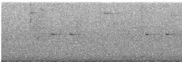 holub čarokrásný - ML591785251