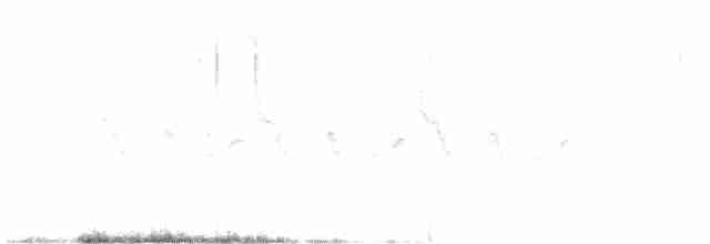 Common Yellowthroat - ML591787871