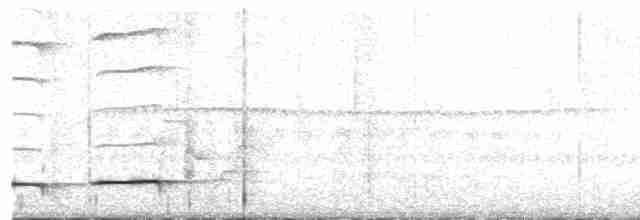 Grallaire de Przewalski - ML591802971