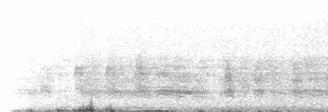 Цесарка рогата (свійська) - ML591814881