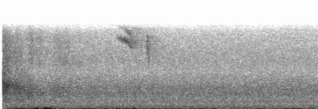 Spotted Flycatcher - ML591820251