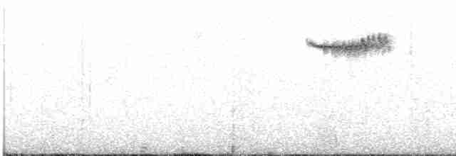 Pullu Ardıç - ML591822041