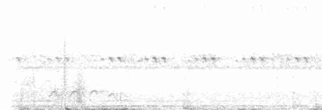 Chevêchette des saguaros - ML591839441
