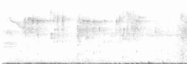 Зеленогорлая эуфония - ML591843721