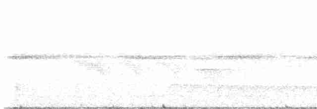 Boyalı Yerçavuşu - ML591845091
