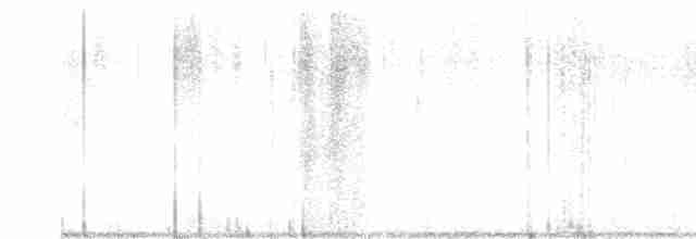 Буревісник cередземноморський (підвид diomedea) - ML591853281