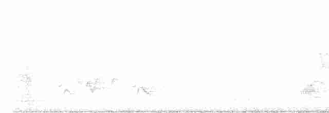 drozdec hnědý - ML591872341