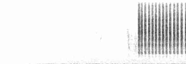 Tamariskengrasmücke - ML591880731