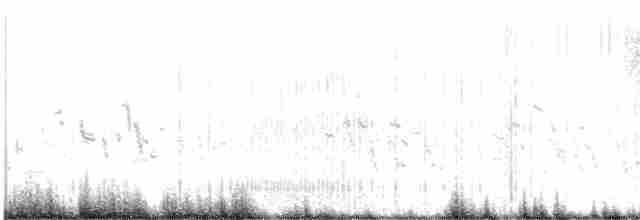 Plectrophane à ventre gris - ML591886891