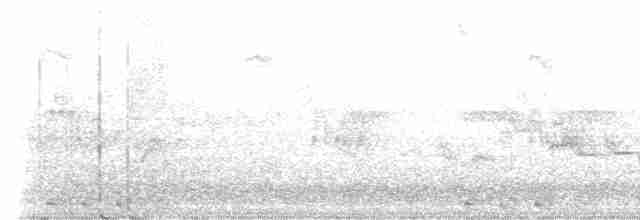 Black-billed Cuckoo - ML591888821