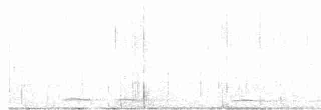 Кукушечья иглоногая сова - ML591901191