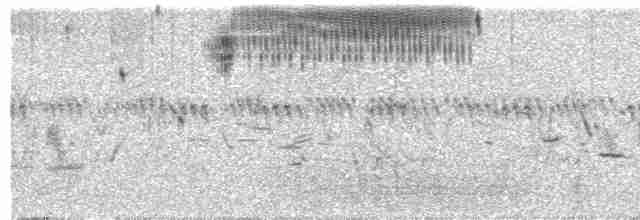Çekirge Sesli Çayır Serçesi - ML591912641