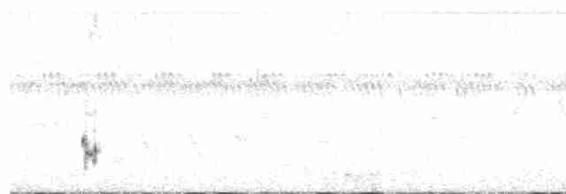 Western Meadowlark - ML591915061