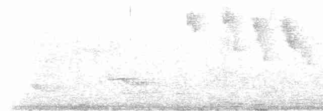 Çıplak Gözlü Ardıç - ML591932531