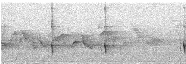 Черноспинный трёхпалый дятел - ML591953061