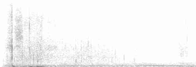 Дрізд-короткодзьоб плямистоволий - ML591970501