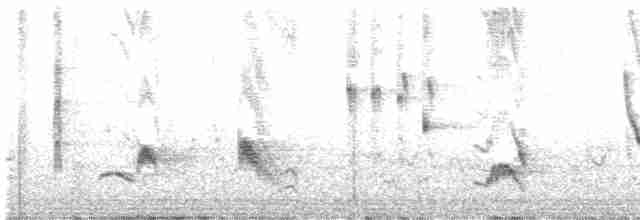 Длинноклювый пересмешник - ML591976721