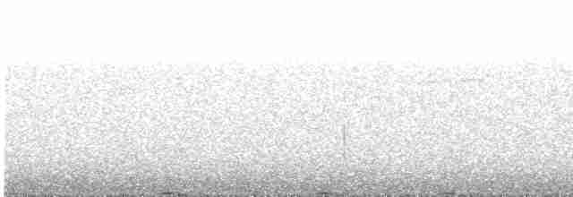 Червоїд сіроголовий (підвид ridgwayi) - ML592023931