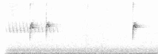 Weißkehlammer - ML592028171