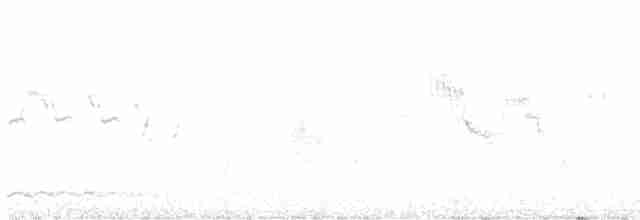 Гагара полярна - ML592034181