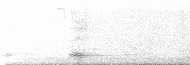Cuervo Pescador - ML592034221