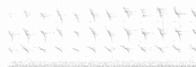 Дятел-смоктун жовточеревий - ML592036011