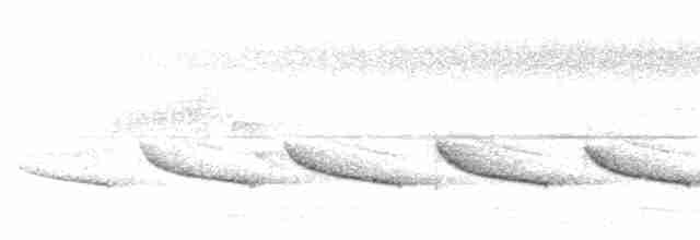 Short-tailed Babbler - ML592054761