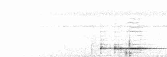 Rabenhäher (aterrimus) - ML592054951